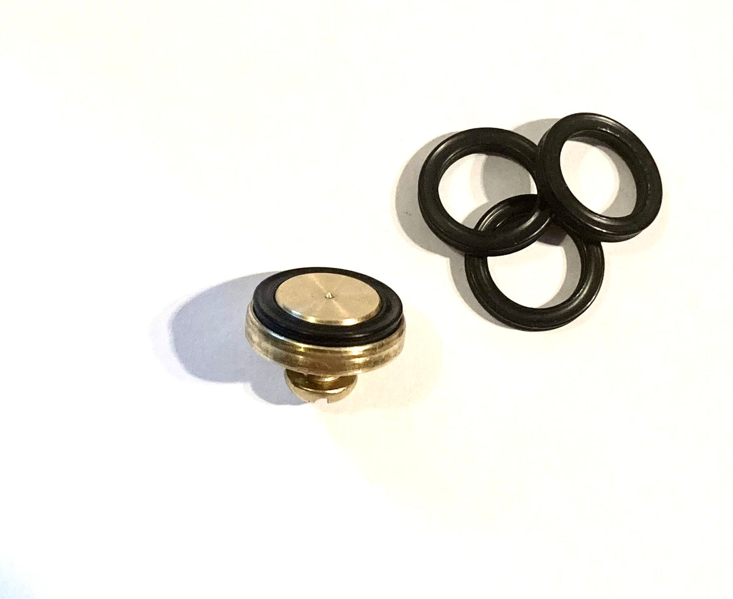 Coleman Gasket pack of 10, Seal Fits 3piece fuel cap insert for lanterns/stove